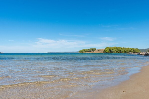 Beach - House Pansy (Pasman)