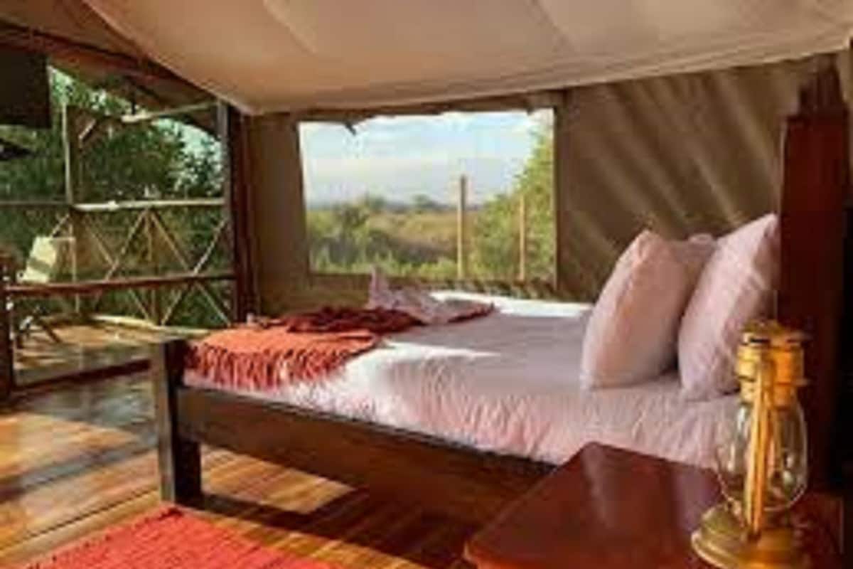 A bedroom with a bed, a nightstand, and a window with a view of greenery.