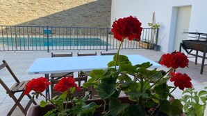 A patio with a table and chairs, a potted plant with red flowers, a pool, and a stone wall. - La Casa Grande de Adolfo (La Codosera)