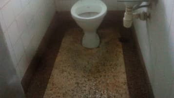 Shower, towels, soap, toilet paper