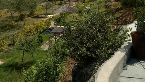 A rural landscape with a stone wall, a thatched-roof structure, and lush greenery. - Oldonyo Lodge (Nakuru)