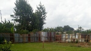 A grassy outdoor area with a metal fence, trees, and a potted plant. - Peacock Restaurant (Nyeri)