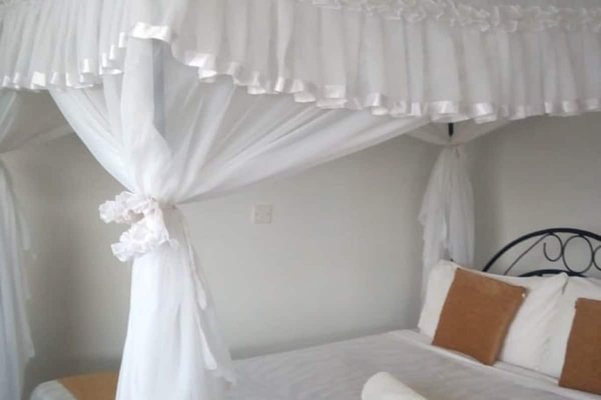Executive Room | Desk, iron/ironing board (on request), WiFi (free), bed sheets