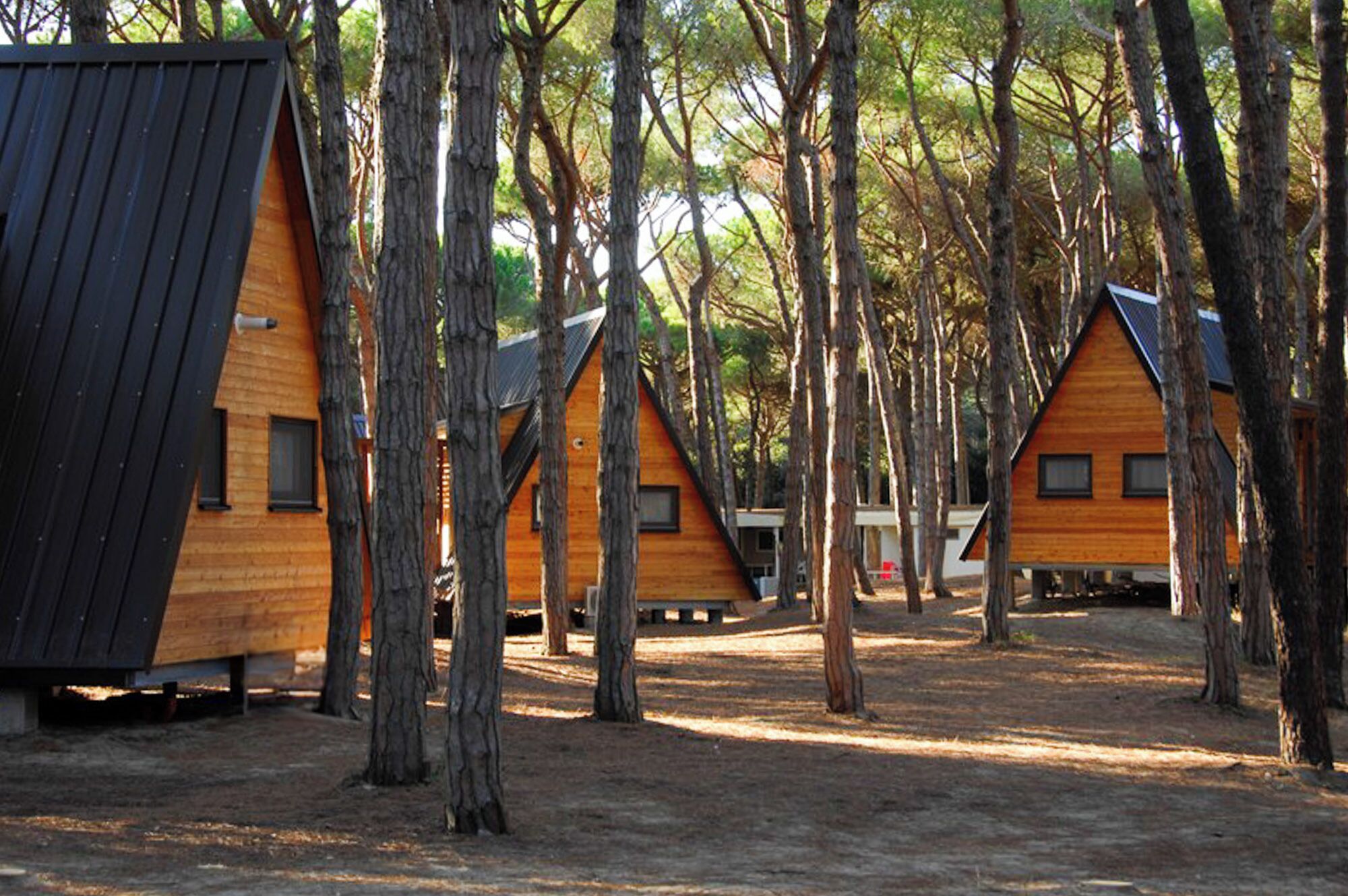 Deluxe Chalet | Utsikt fra rommet