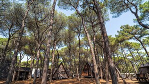 A forested area with wooden cabins and a clear sky. - Club Del Sole Spina Family Collection (Comacchio)