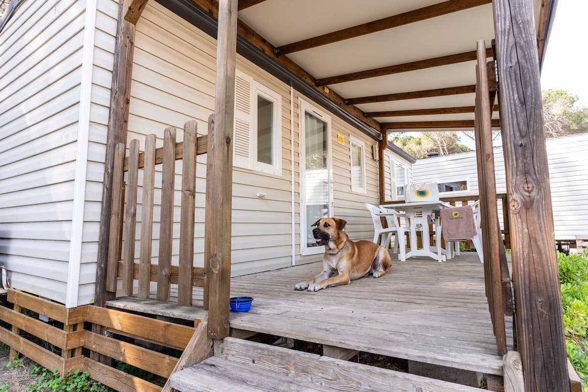 Standard Mobile Home (Pet Friendly) | 2 bedrooms, individually decorated, individually furnished