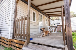 Casa móvil estándar (Pet Friendly) | Decoración individual y mobiliario individual