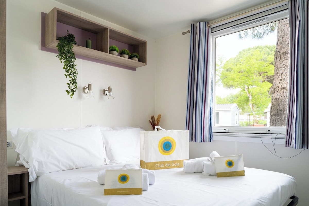 A hotel room with a bed, a window with curtains, a shelf with plants, and a wall-mounted light fixture.
