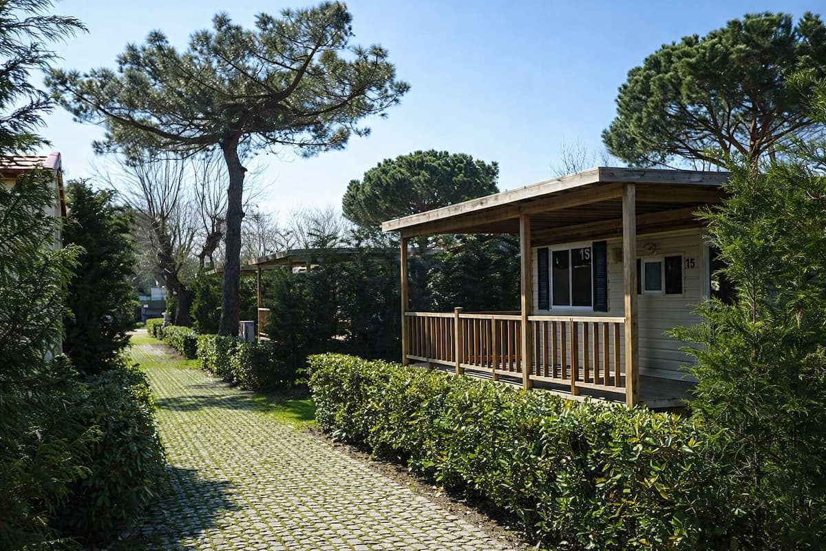 A wooden cabin with a porch, surrounded by lush greenery and trees.