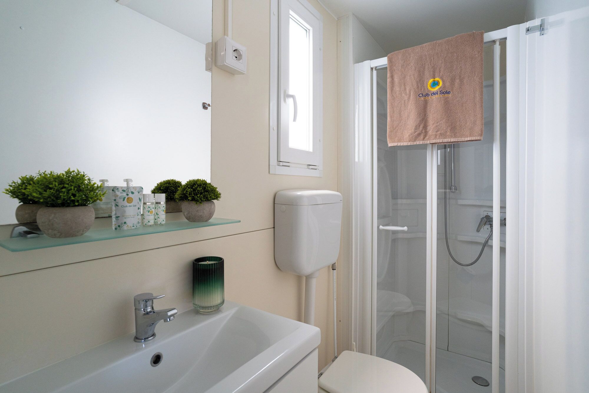 A bathroom with a sink, mirror, potted plants, toiletries, a toilet, and a shower.