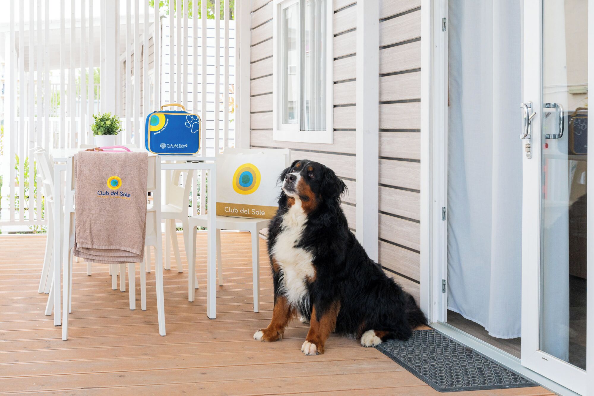 Een hond zit op een houten terras, een stoel met een handdoek en een bordes met 'Club del Sole' op een gebouw.