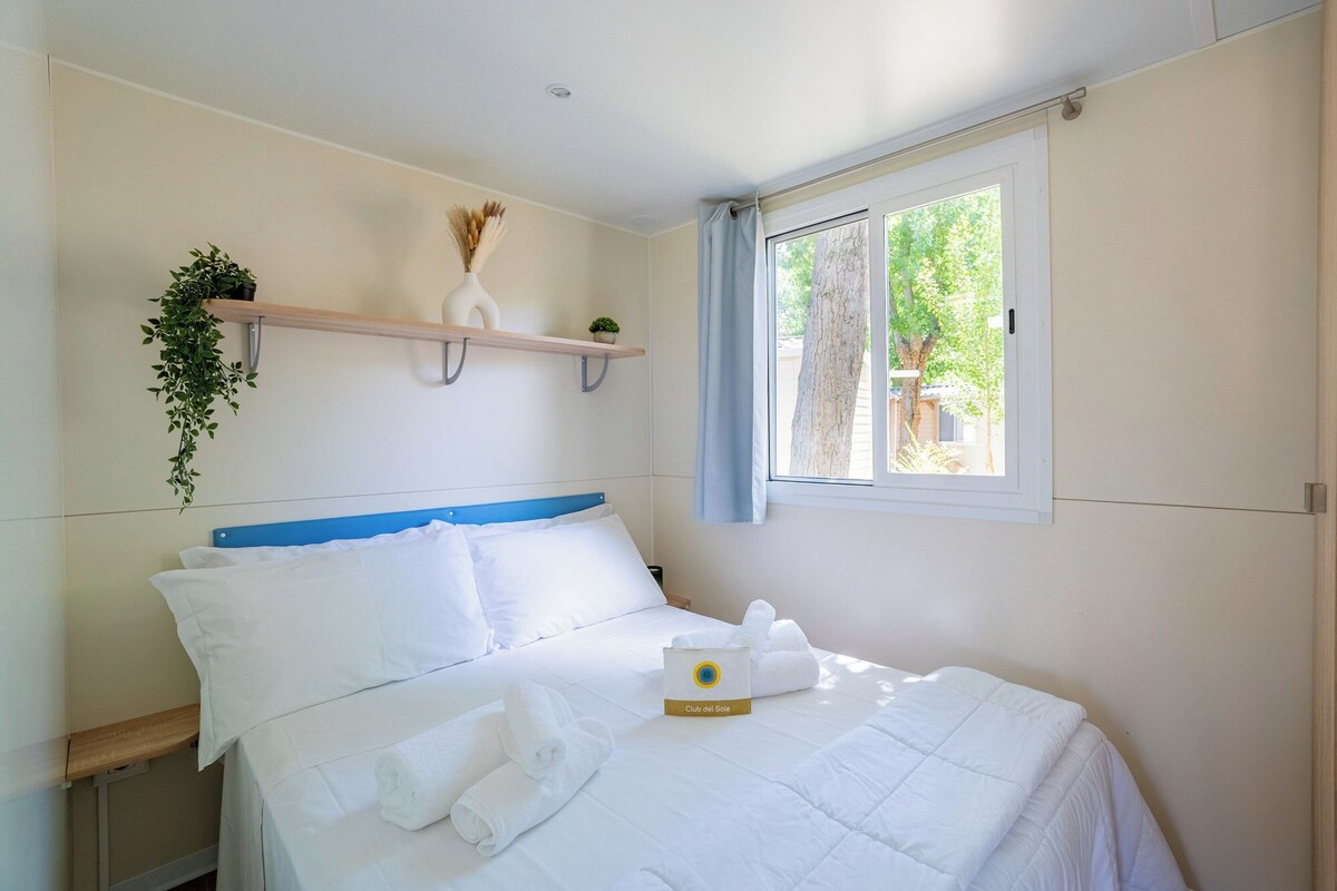 Habitación de hotel con cama, ropa de cama blanca, ventana con vista a árboles, una planta en una estantería y una toalla sobre la cama.