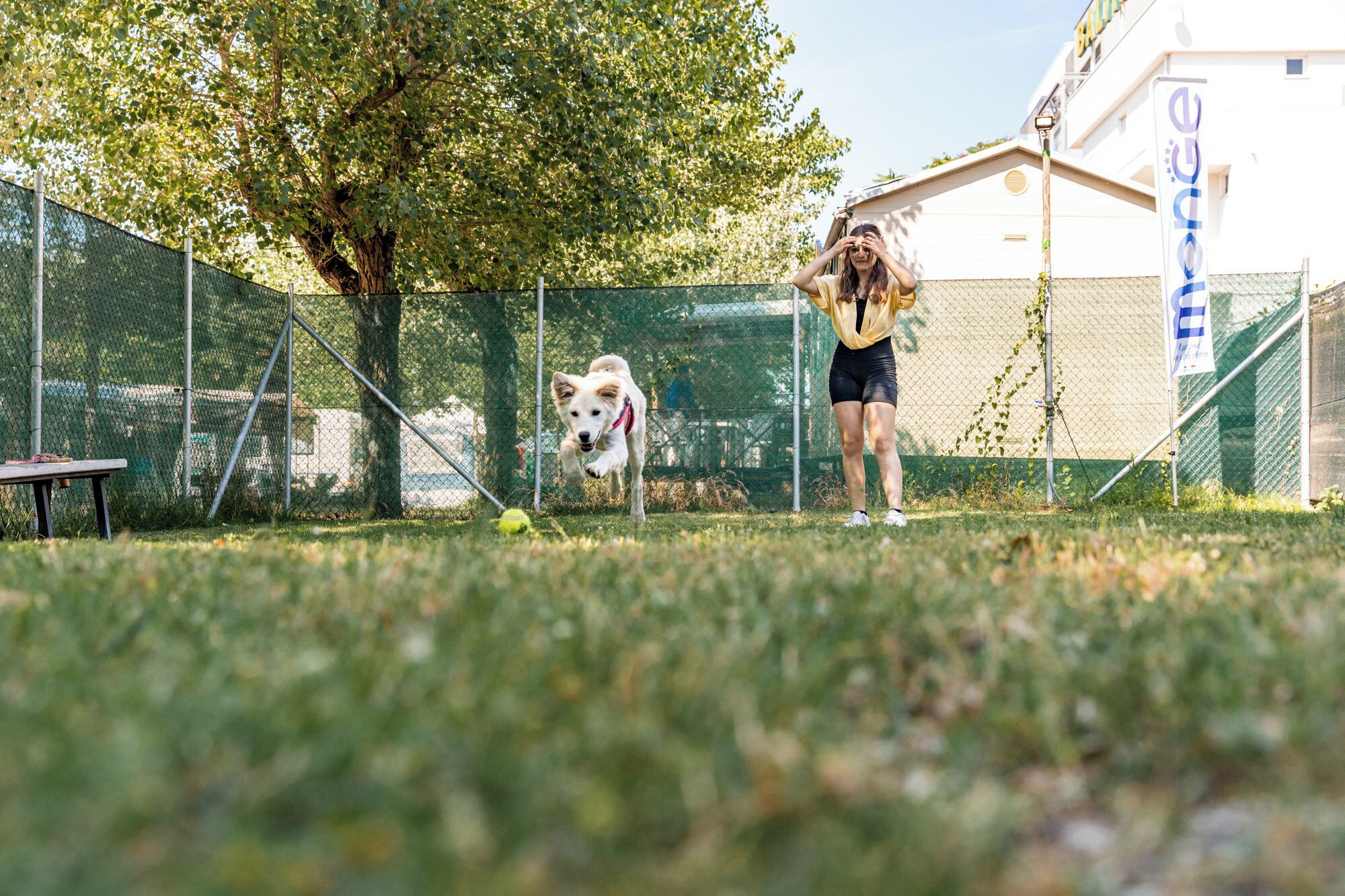 Servizi pet friendly