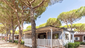 Une maison mobile dotée d’une véranda, entourée d’arbres.