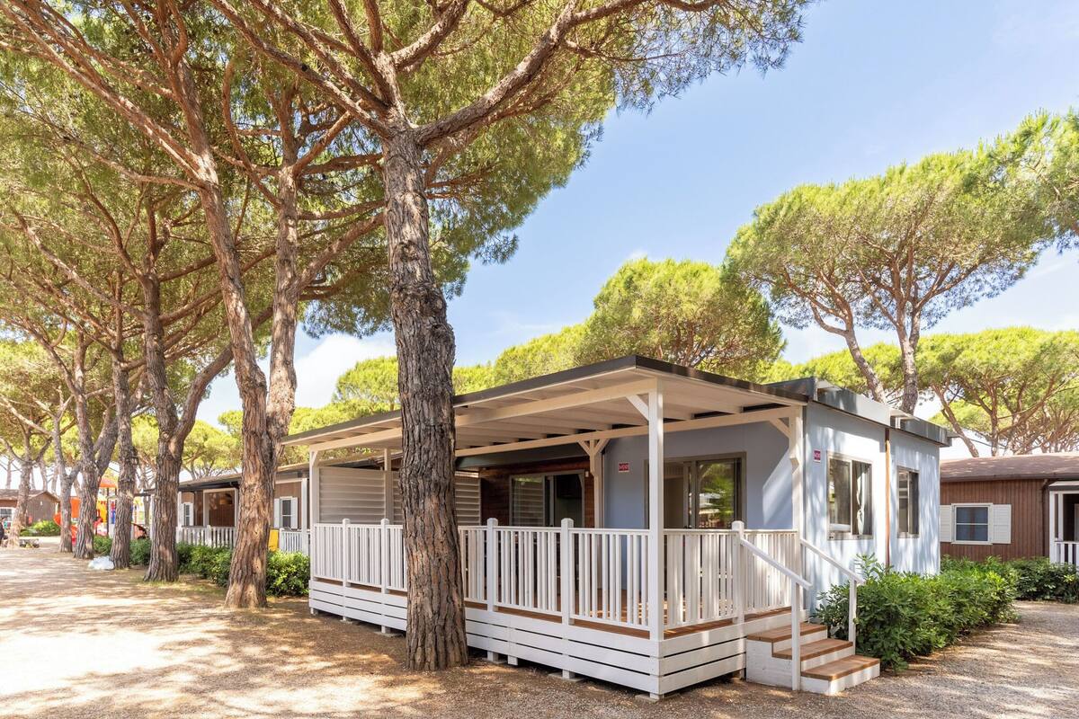 Une maison mobile dotée d’une véranda, entourée d’arbres.