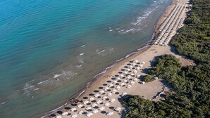 Une vue aérienne d’une plage avec des rangées de parasols et de chaises de plage, une mer bleue et limpide, et une zone boisée.
