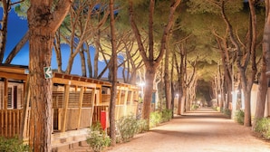 Un chemin bordé d’arbres mène à un bâtiment doté de structures en bois et d’un panneau indiquant une direction.