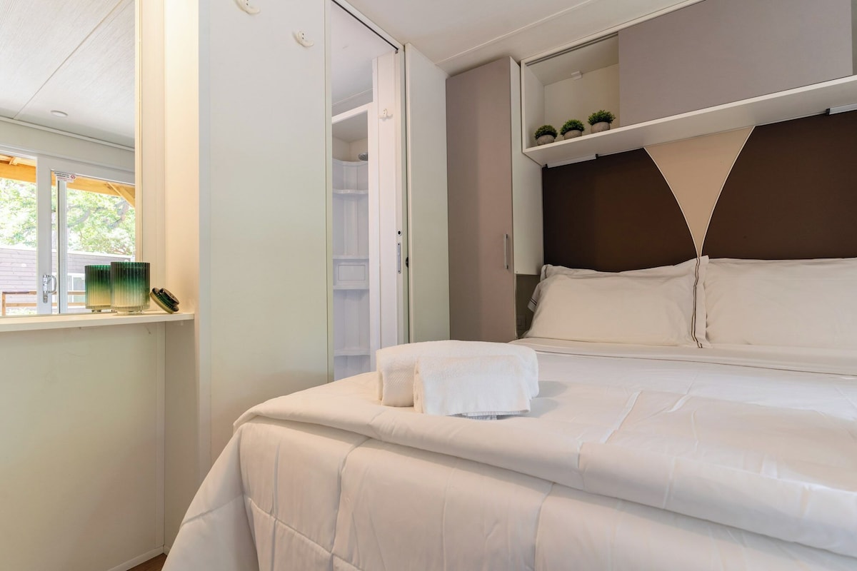A bedroom with a bed, a window, a closet, and a shelf with plants.
