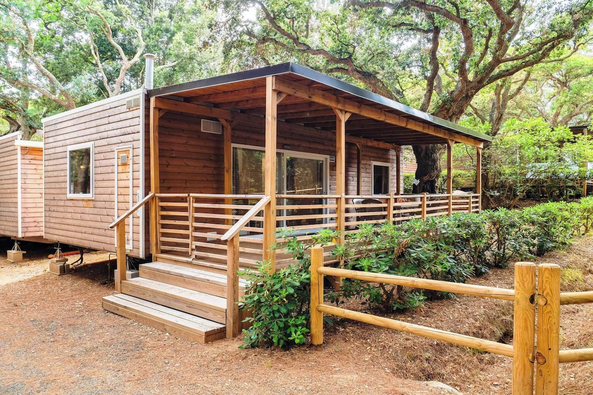 A wooden cabin with a porch, steps, and a fenced entrance.