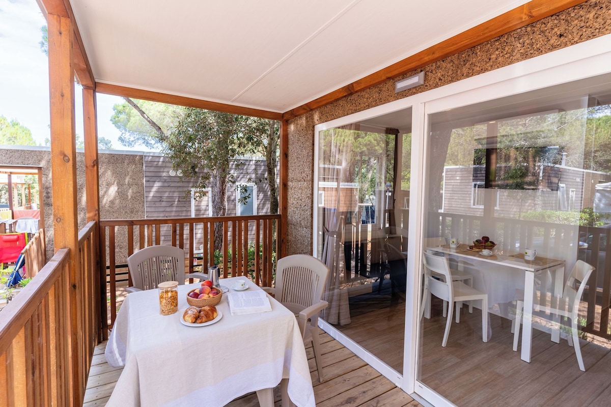 Lodge Comfort (pet allowed with extra fee)