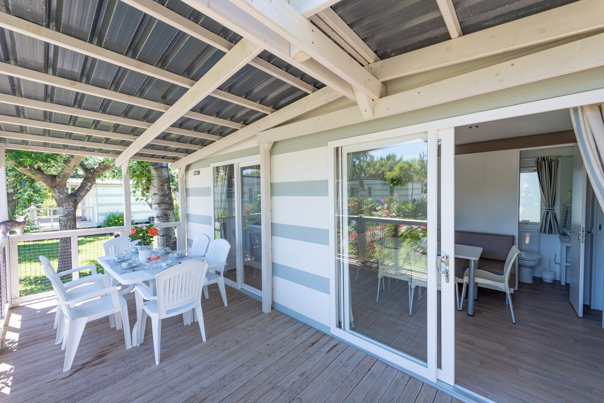 Lodge Deluxe Family | Terrasse/Patio