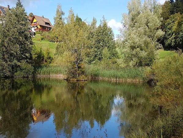 Ulkoalueet