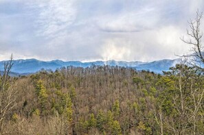 Huisje, meerdere bedden, hot tub | Kameruitzicht