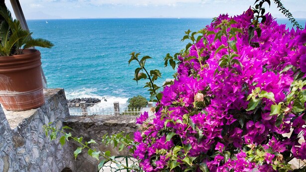 A stone staircase with a railing, leading to a coastal area with a view of the sea.