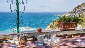 A wooden table with a view of the sea, a potted plant, and various glassware.