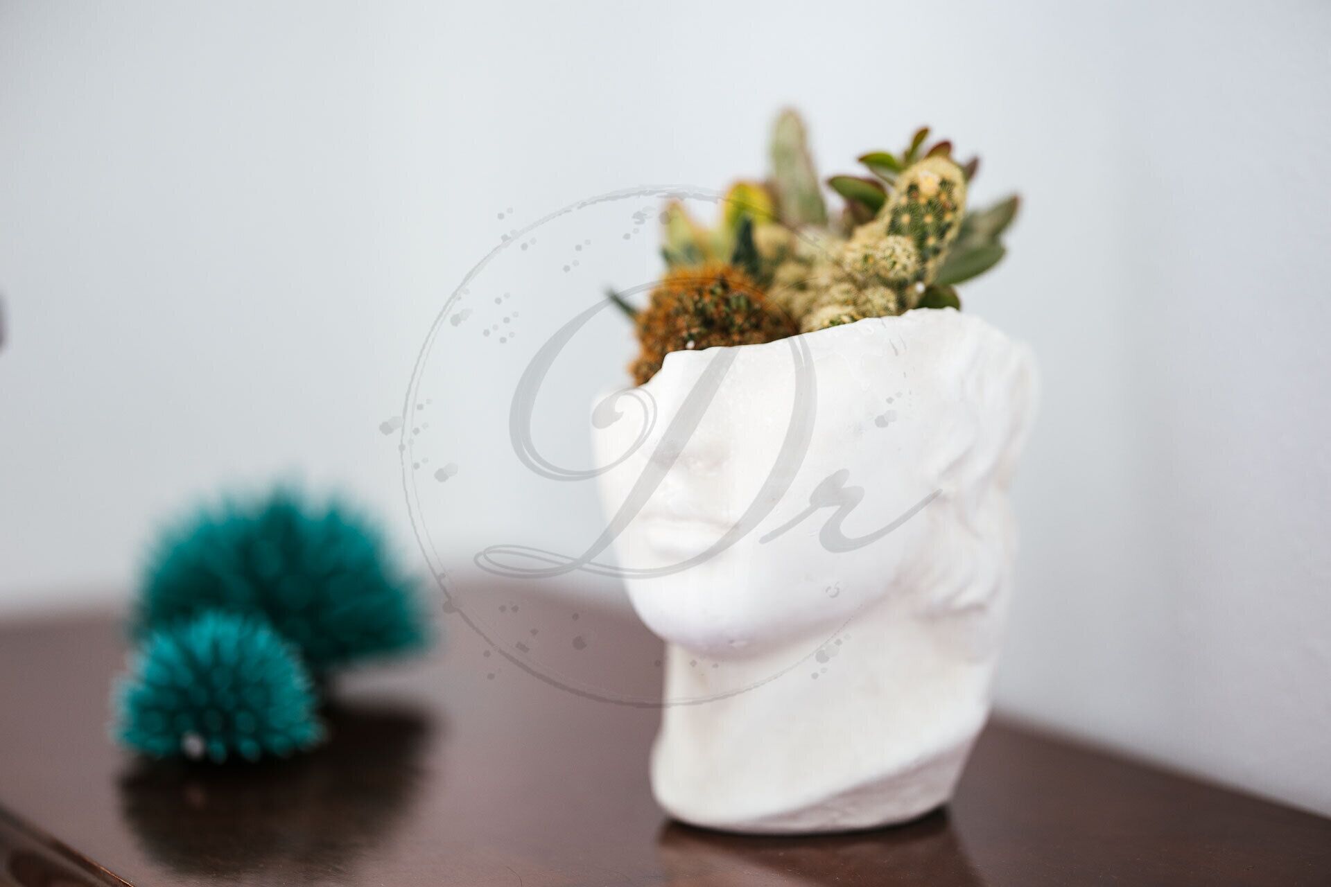 A white ceramic pot with a succulent plant on a wooden surface.