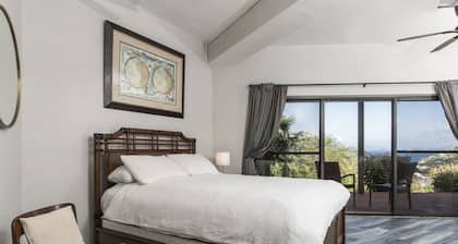 Studio at Chateau Nightwind w/ Awesome BVI Views