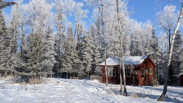 A cabin surrounded by snow-covered trees. - Rustic Retreat Cabin for Families/Sm Groups, "Shalom" (South Range)