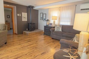 TV, fireplace, video games, DVD player