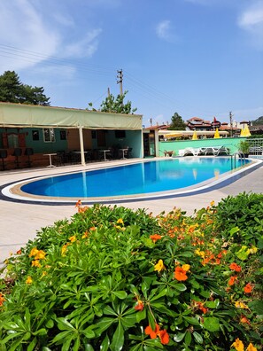 Una piscina amb una tenda de sol, envoltada de plantes i flors verdes.