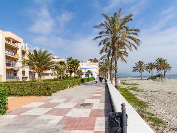 Une promenade en bord de mer bordée de palmiers et une rangée de bâtiments dotés de balcons.