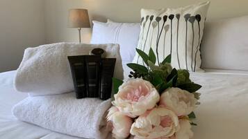 Iron/ironing board, free WiFi