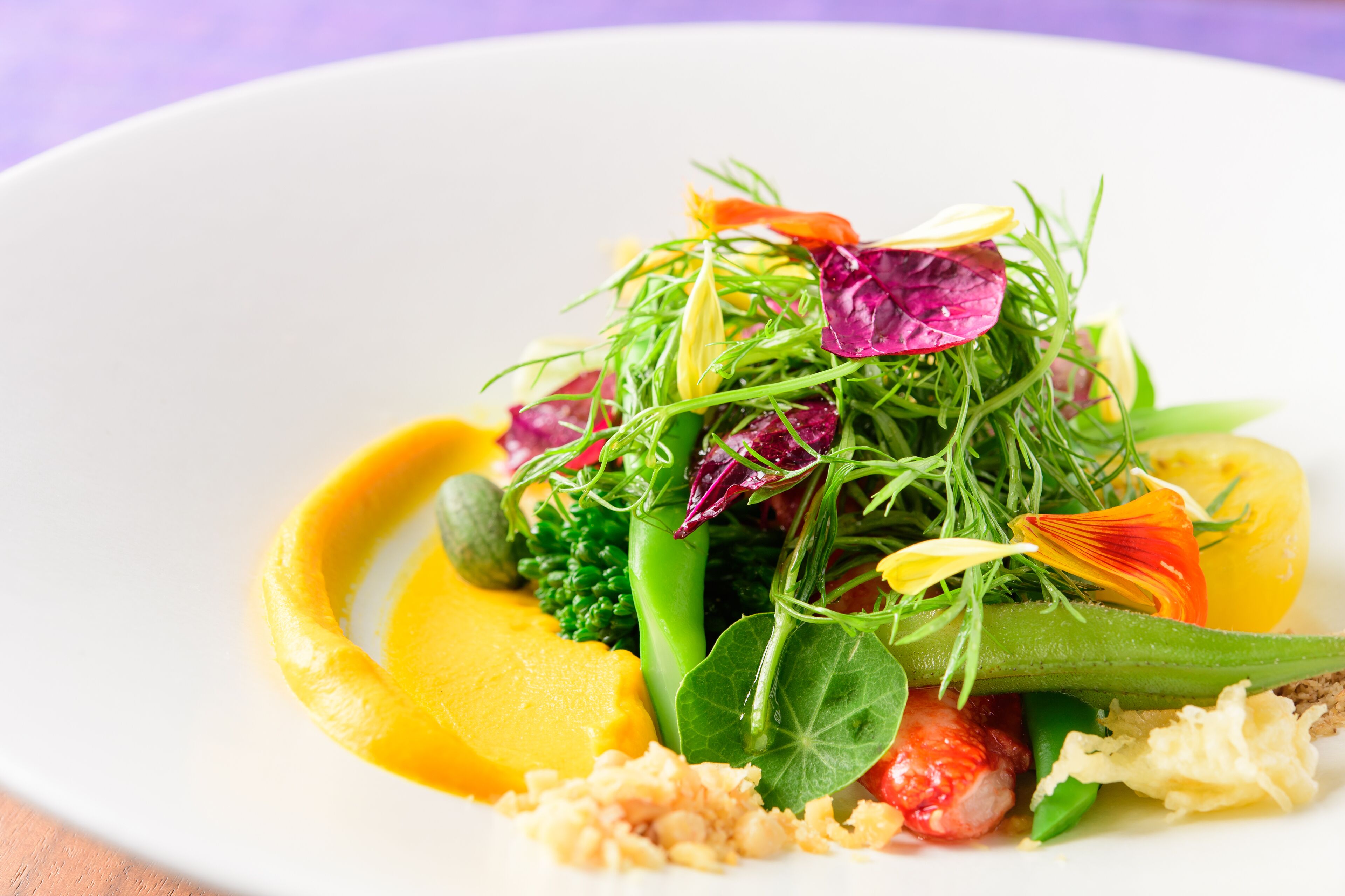 Un plato blanco con una ensalada colorida, que incluye hojas verdes, hojas moradas y elementos amarillos.