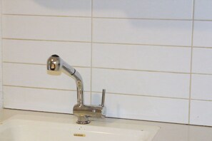 Shower, hair dryer, towels, shampoo