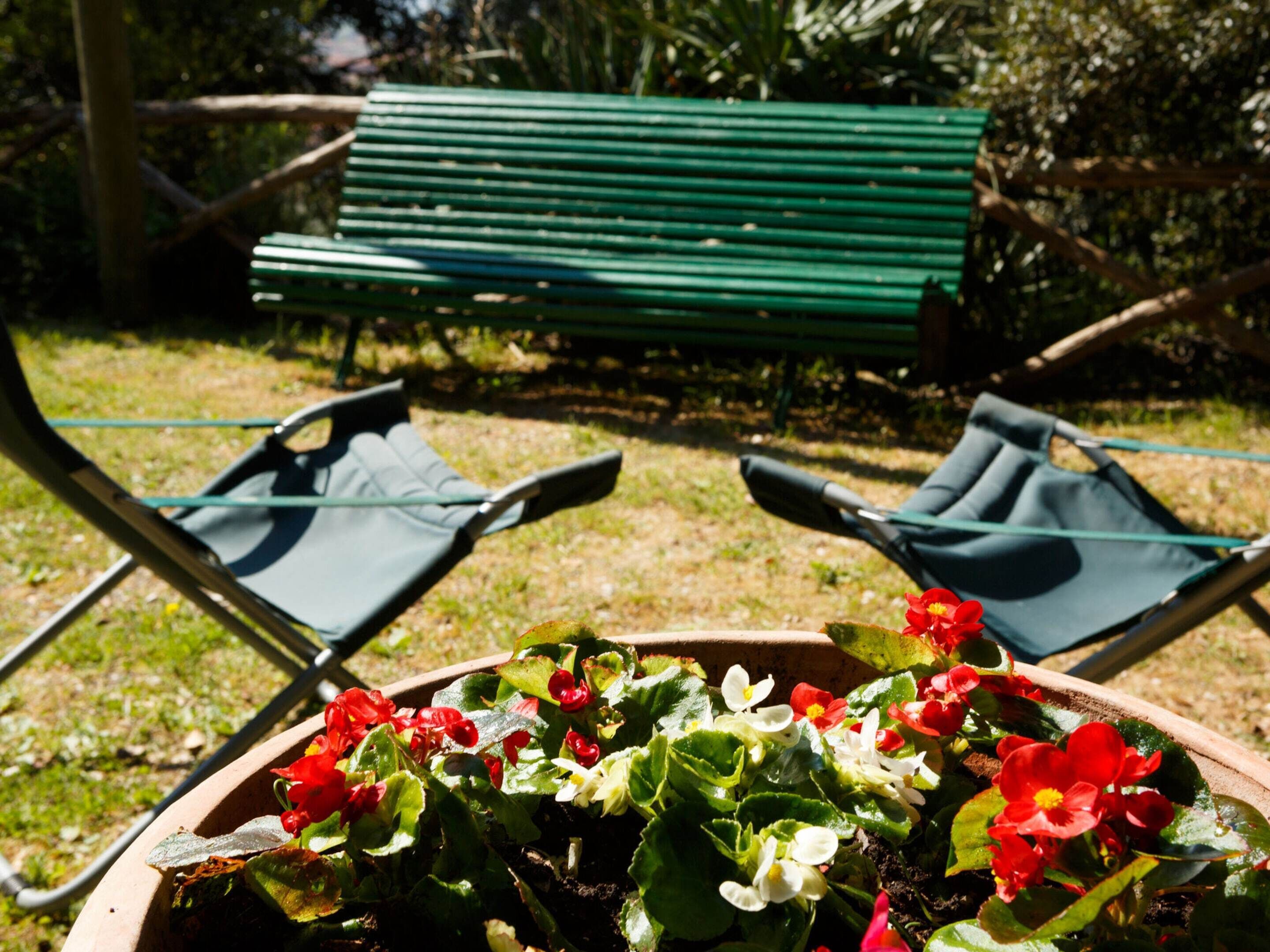 A garden with a green bench and two lawn chairs.