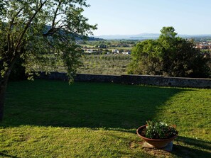 Ferienhaus | Blick von der Unterkunft
