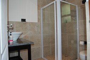 Un baño con ducha de mampara de vidrio, lavamanos con dispensador de jabón y un inodoro.