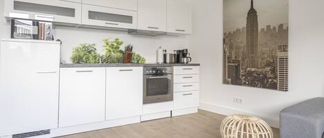 Family Apartment | Private kitchen | Full-sized fridge, microwave, oven, stovetop