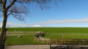 Deluxe-Zimmer | Ausblick vom Zimmer