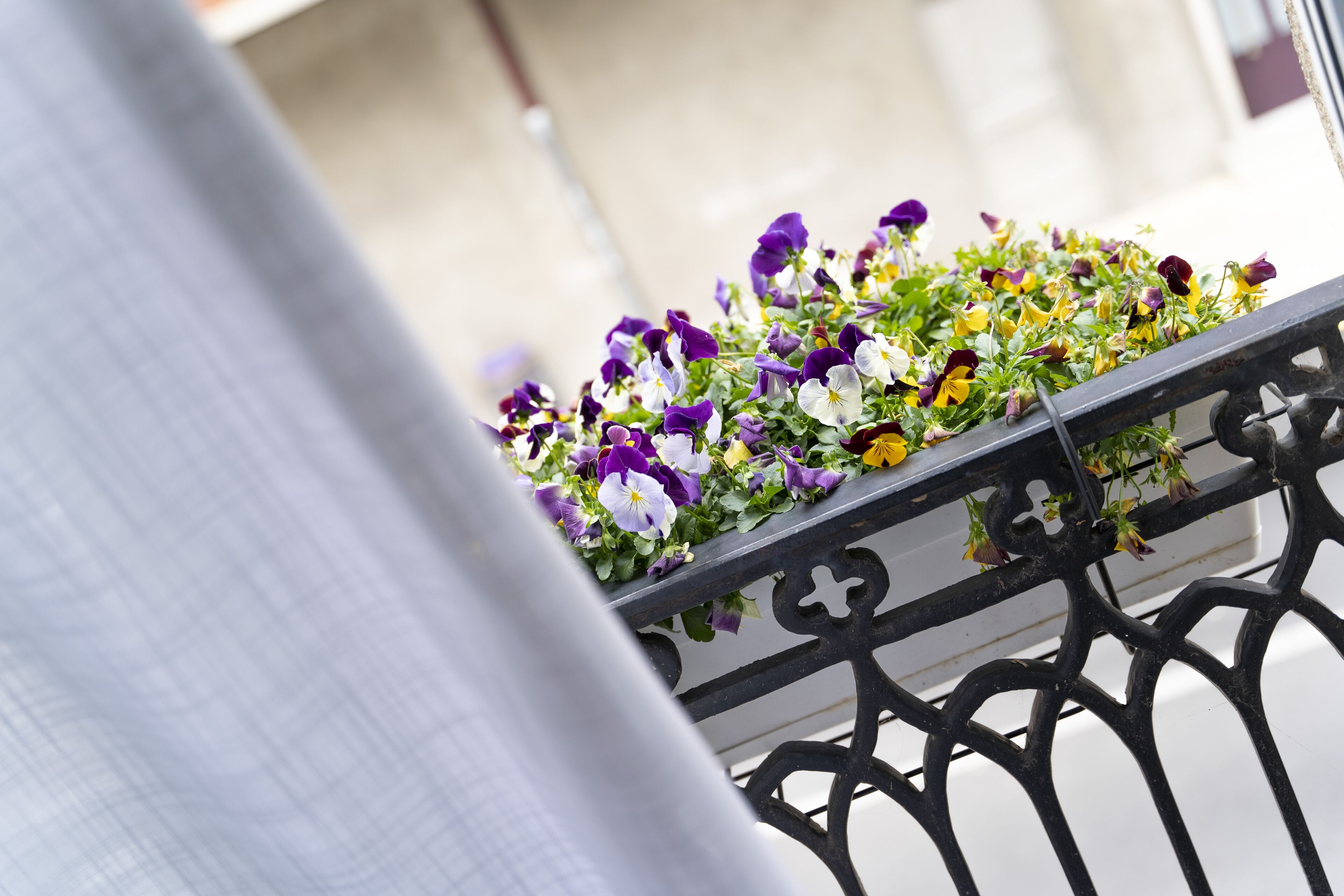 Foto - Hotel A Casa Do Rio