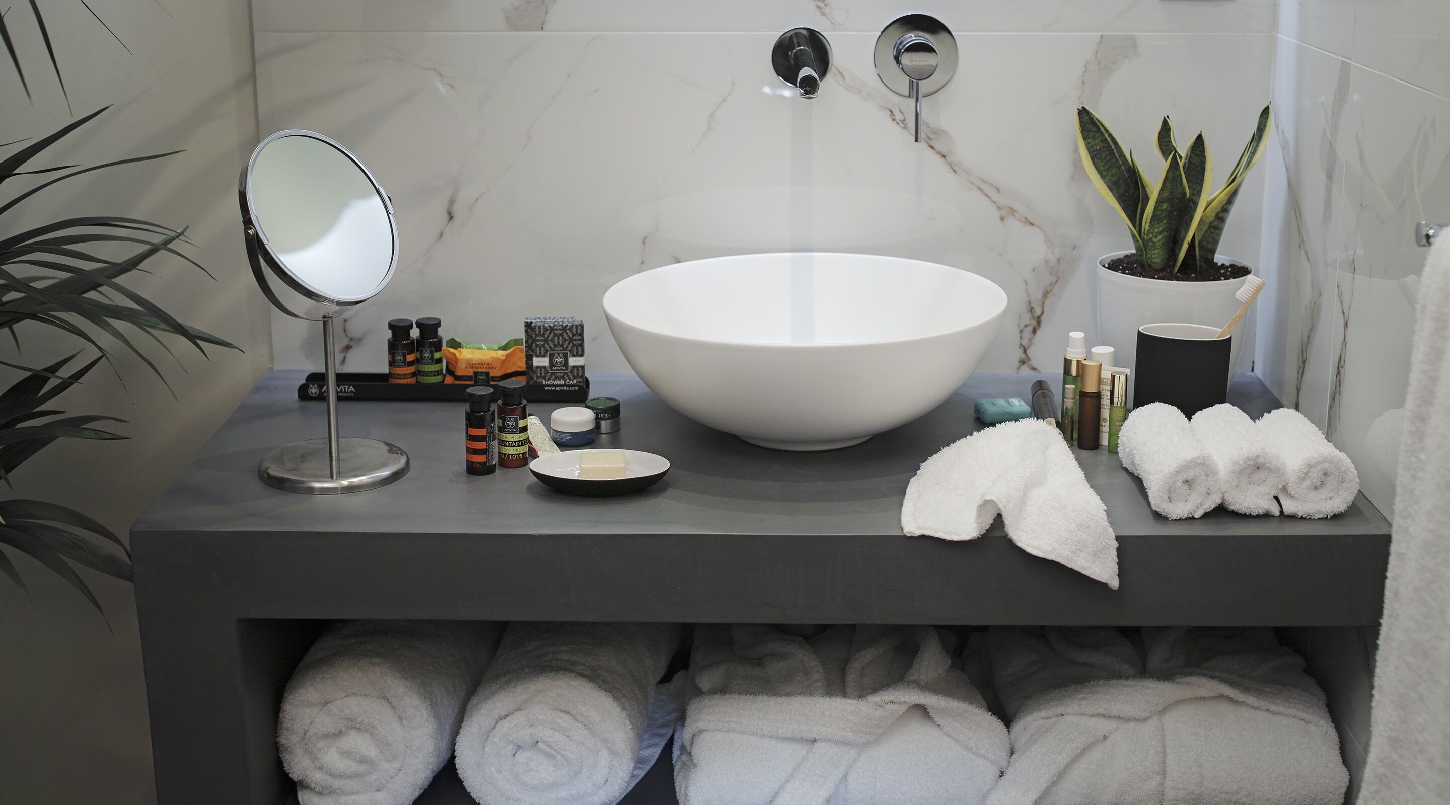 standard room | bathroom sink