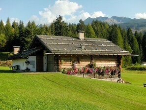Ulkopuoli