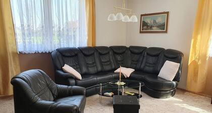 Lovely Apartment in Thale Near Forest