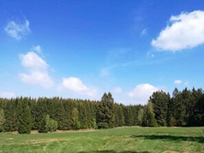 Exterior - Lovely Apartment in Thale Near Forest (Thale)