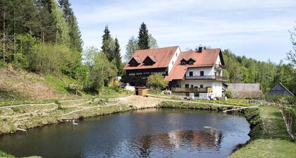Secluded Apartment in Schönsee near Forest