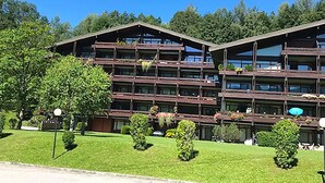 Unclassified image, 2 of 11, button - Cozy Apartment in Saalfelden am Steinernen Meer near Lake (Saalfelden am Steinernen Meer)